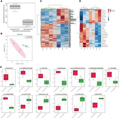 Cellular Metabolomics Profiles Associated With Drug Chemosensitivity in AML